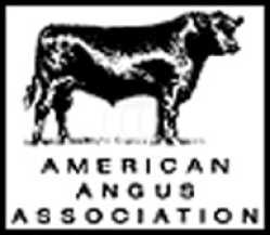 American Angus Association